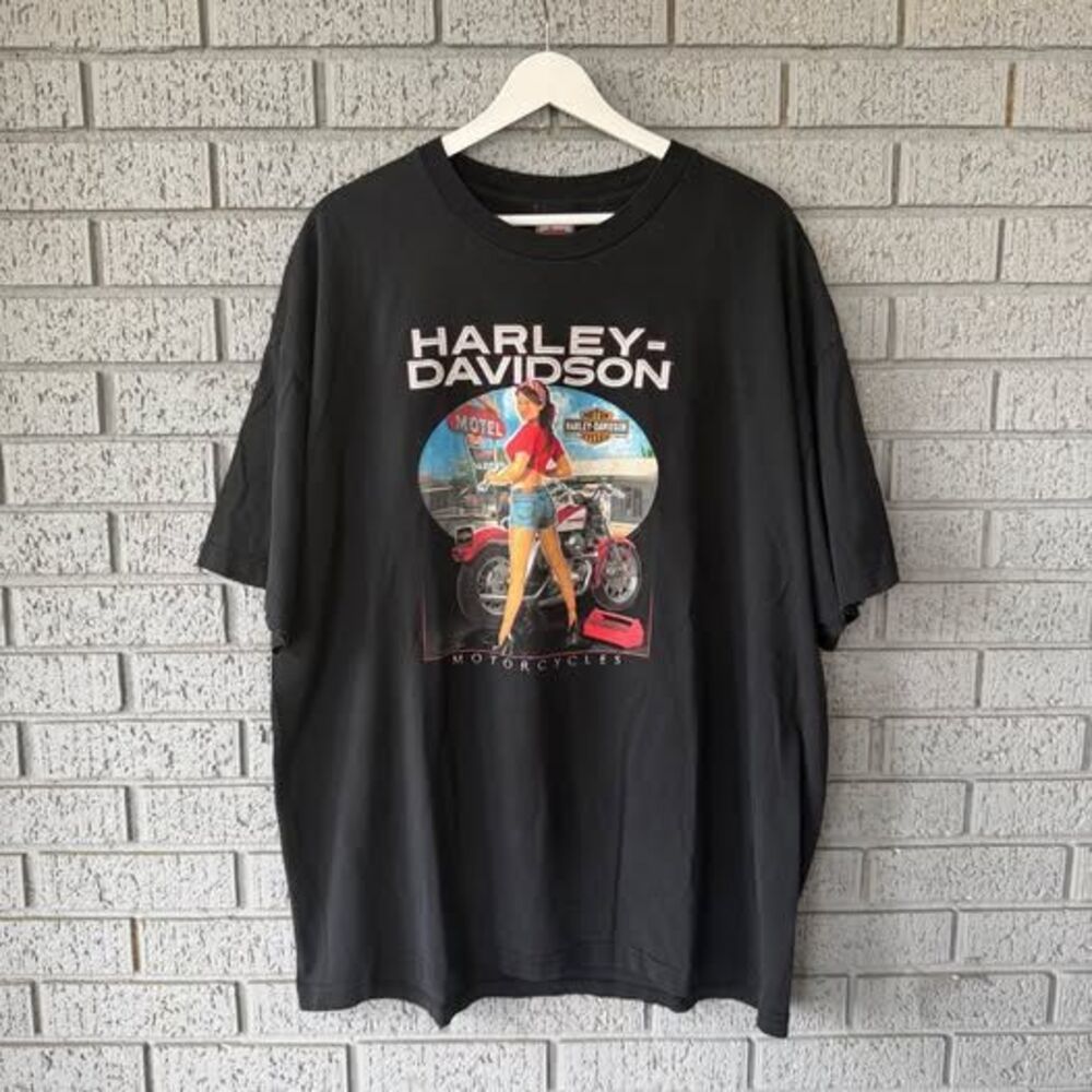 Harley Davidson Men’s Tshirt Size 2XL Pinup Girl Motorcycle Colorado Springs